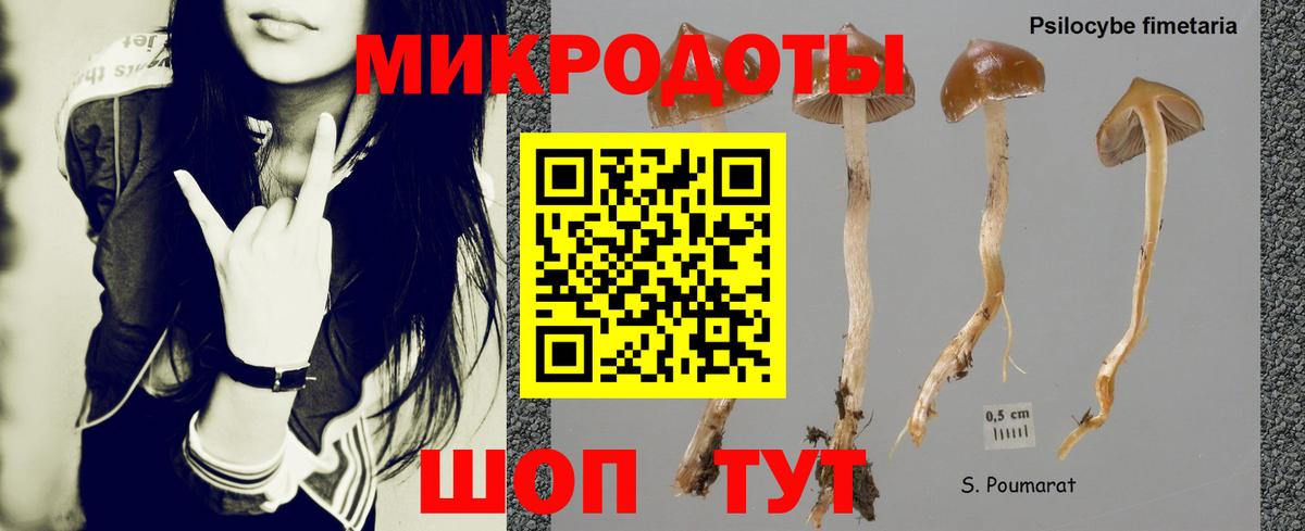 Галлюциногенные грибы мухоморы Мурманск